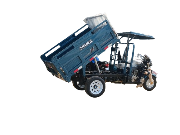 Moto Tricycle-PB-200ZH-400 A BERNE